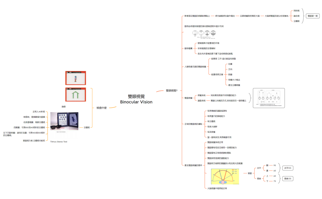 融像與立體視檢查法操作方式
