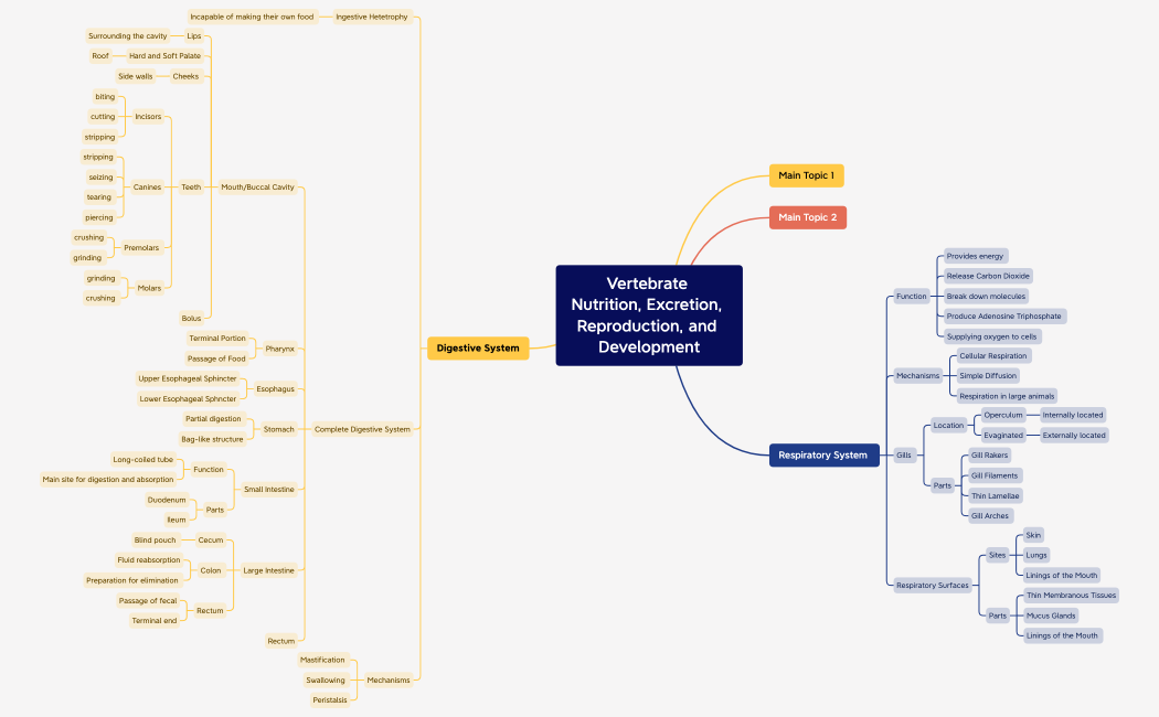 Vertebrate Nutrition, Excretion, Reproduction, and Development