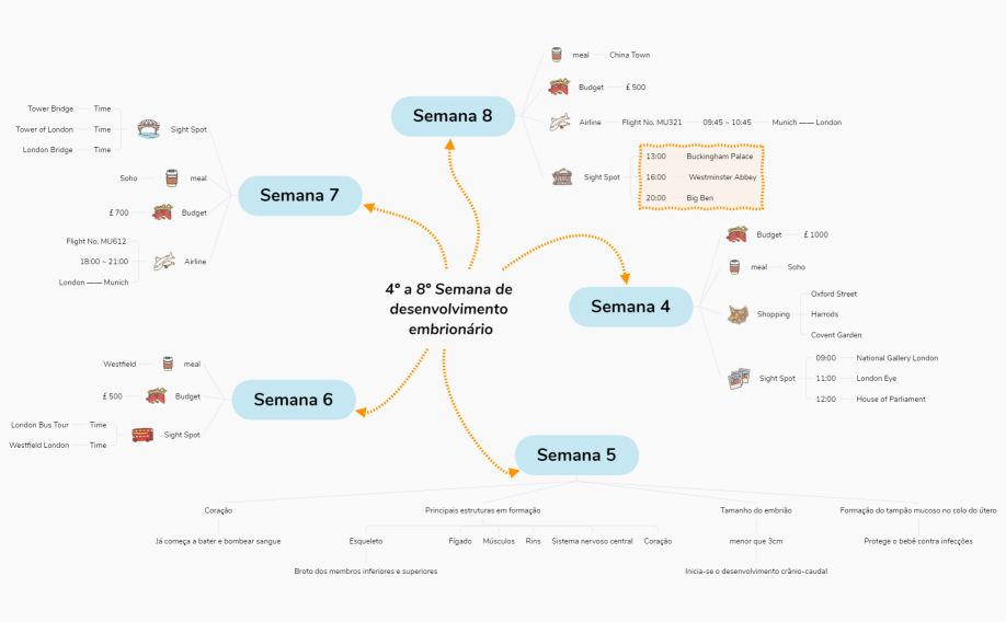4º a 8º Semana de desenvolvimento embrionário