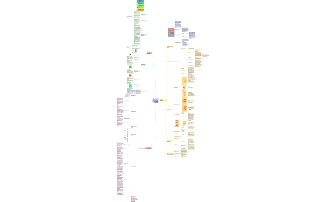 Anchorage in Orthodontics, preventive and interceptive orthodontics