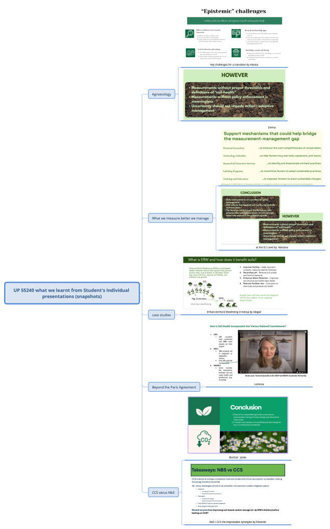 UP 55240 what we learnt from Student's Individual presentations (snapshots)