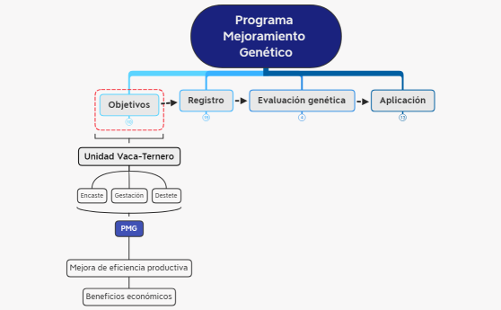 Programa mejoramiento genético
