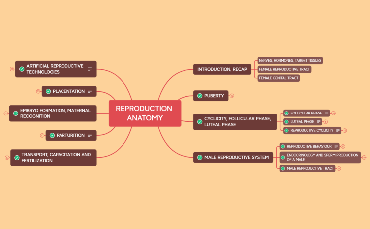REPRODUCTION, 2025.xmind