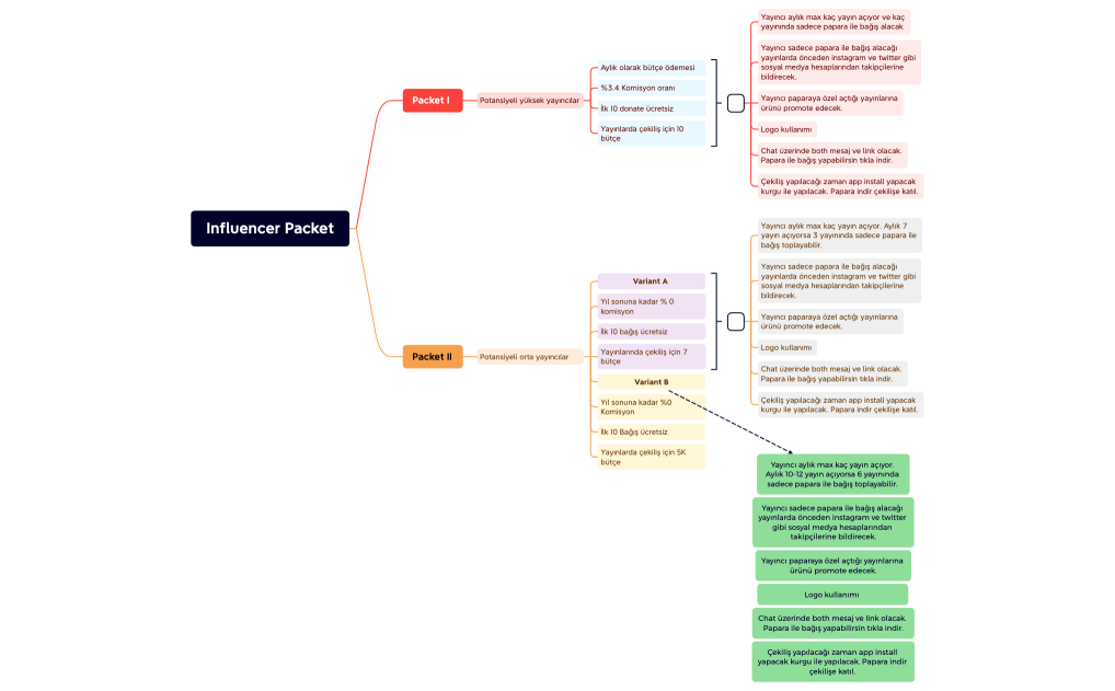 Influencer Packet.xmind