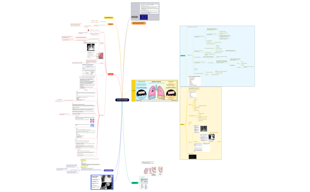 5. PLEURAL EFFUSION.xmind
