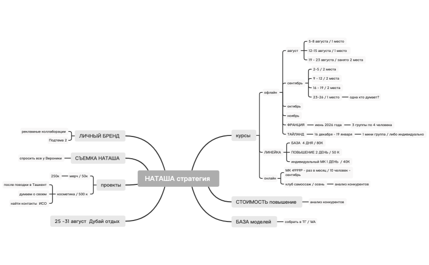 Наташа стратегия 