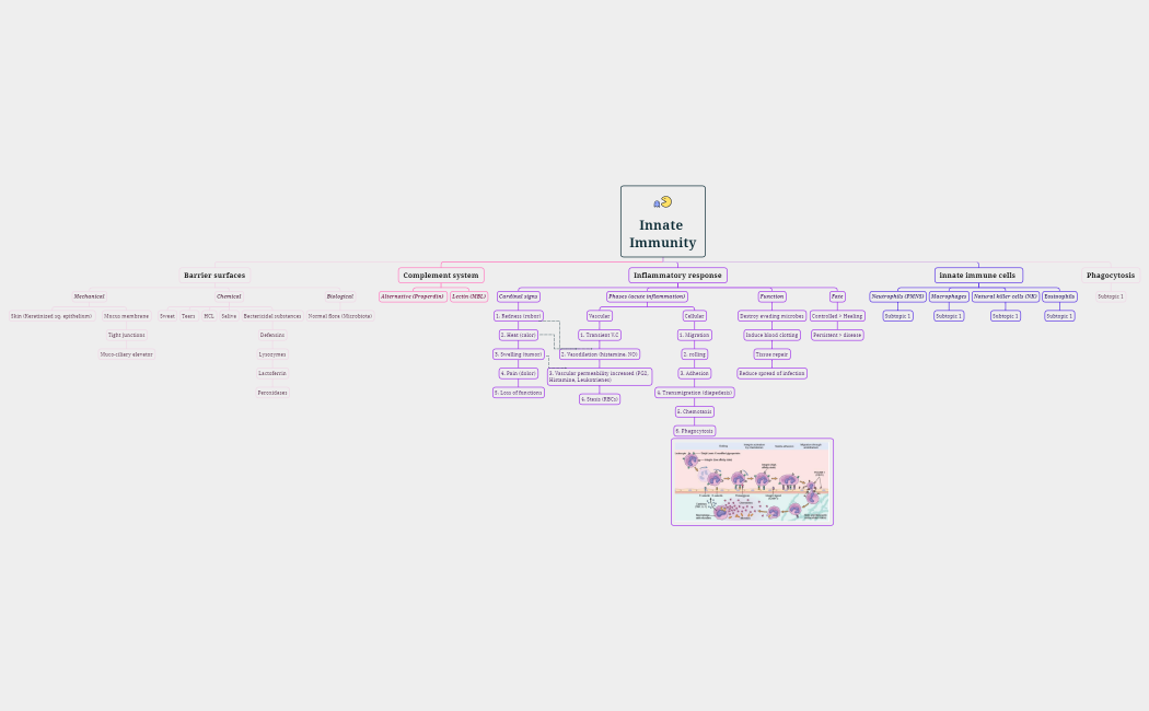 Innate Immunity.xmind