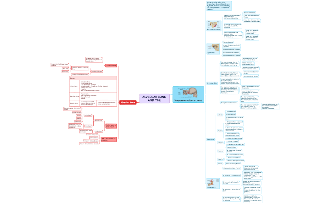alveolar bone and tmj