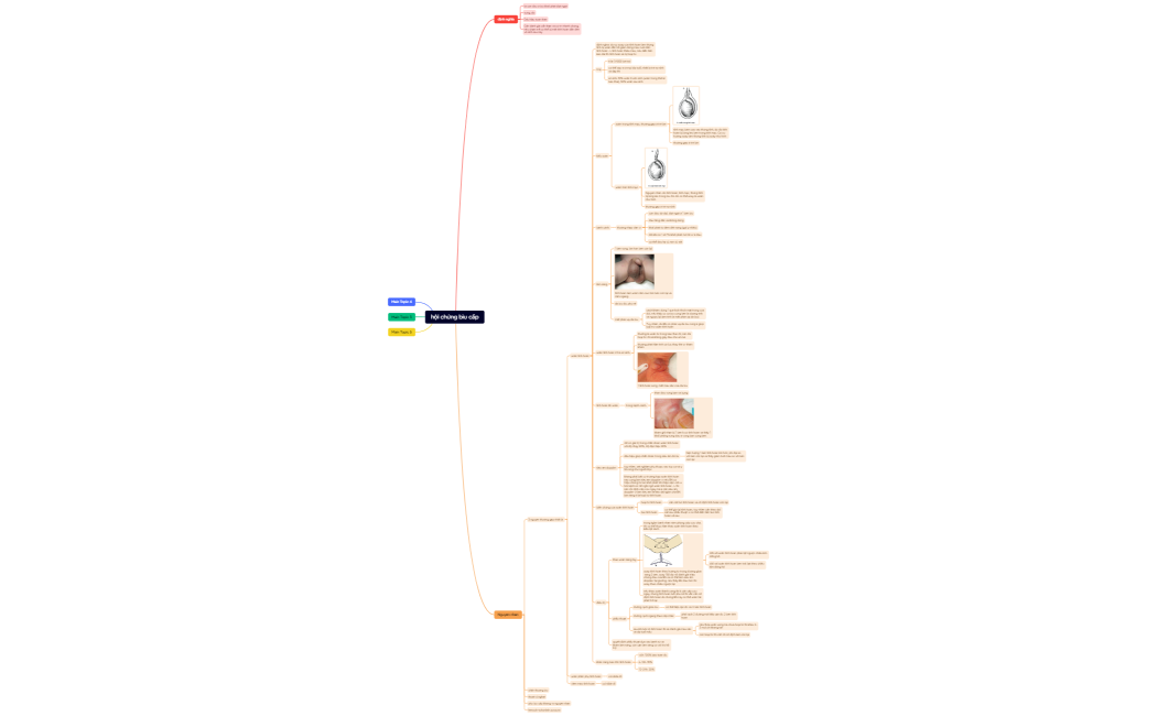 hội chứng bìu cấp