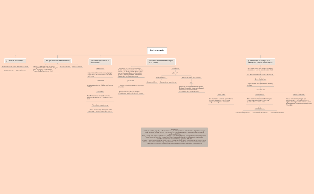 Act. 1.3 Mapa conceptual Fotosíntesis
