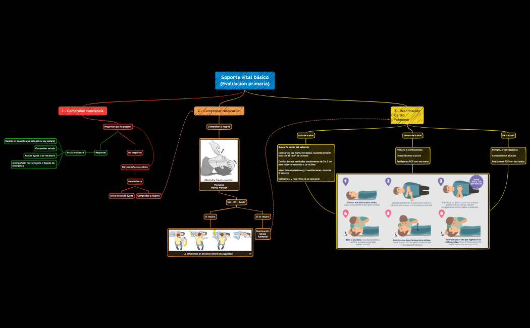 Soporte vital básico