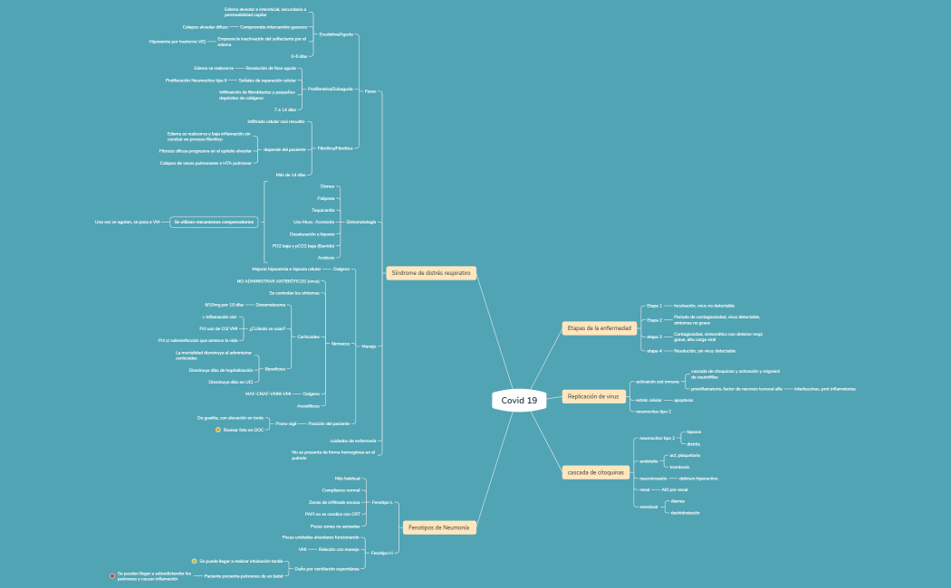 Covid 19 mapa mental