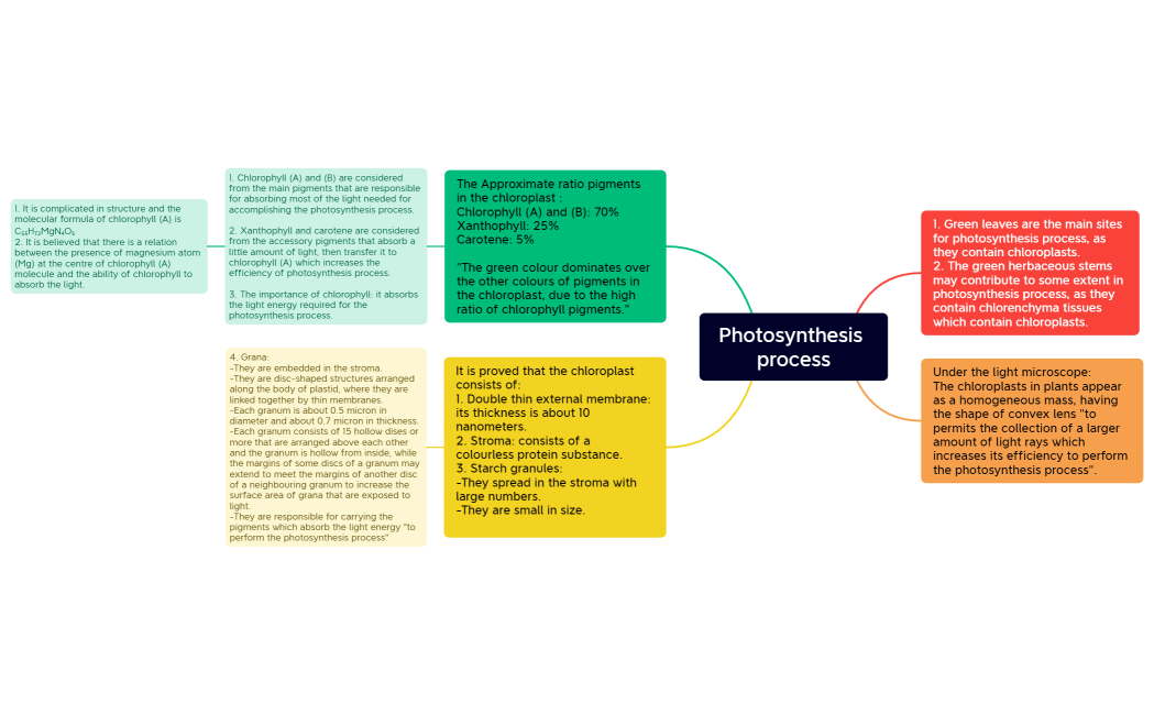 Photosynthesis process