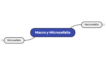 Macro y Microcefalia
