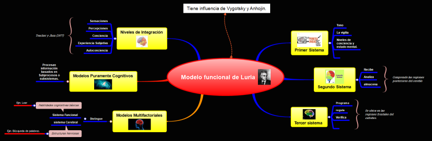 Modelo funcional de Luria 