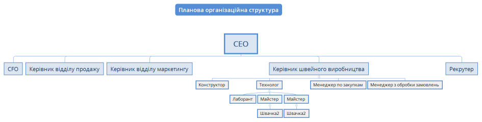 Планова організаційна структура