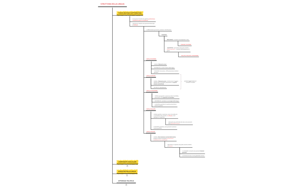 Fondamenti del Framework GRAP