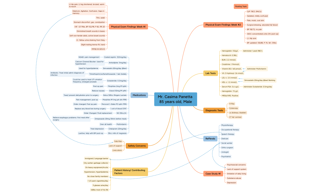 Mr. Casima Panetta .xmind