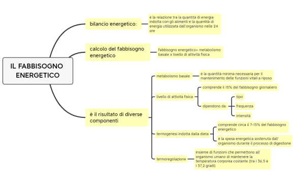 IL FABBISOGNO ENERGETICO, scienze degli alimenti, secondo anno