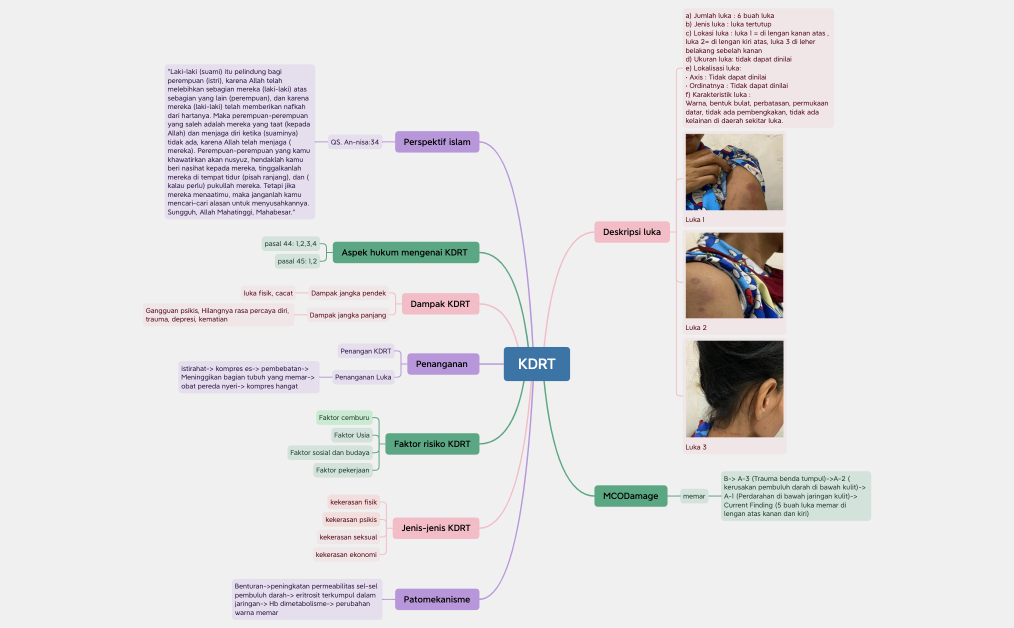 KDRT.xmind