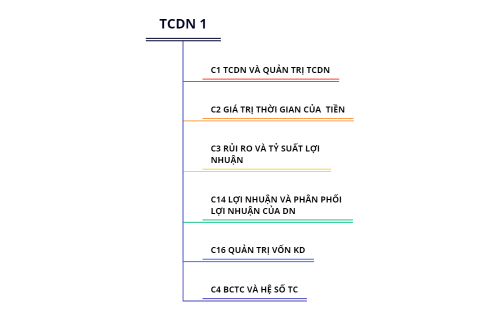 TCDN 1