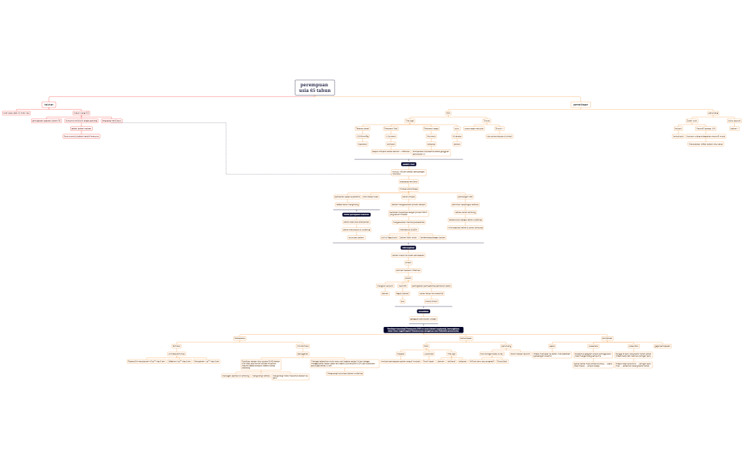 perempuan usia 65 tahun