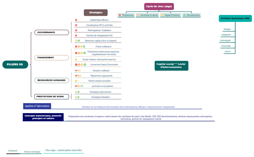 cadre conceptuel revisé