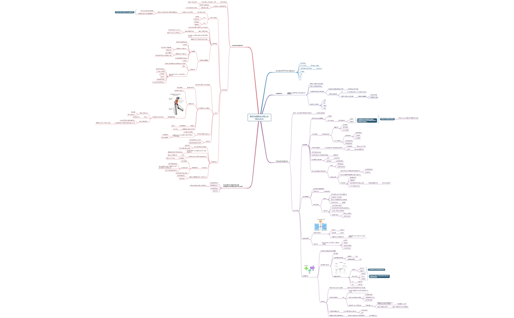 BIOCHIMICA DELLA CELLULA 