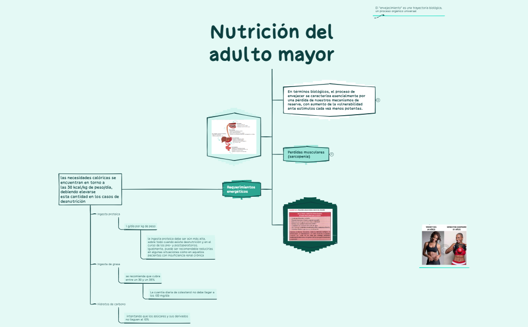 Nutrición deladulto mayor