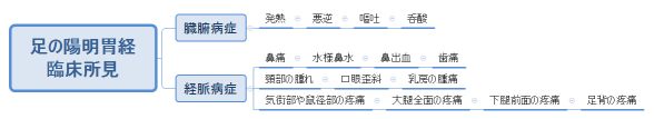 足の陽明胃経 臨床所見