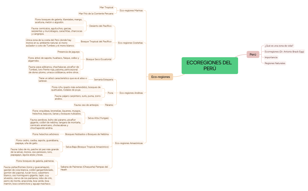 ECOREGIONES DEL PERÚ