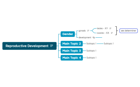 1 - Male Reproductive System