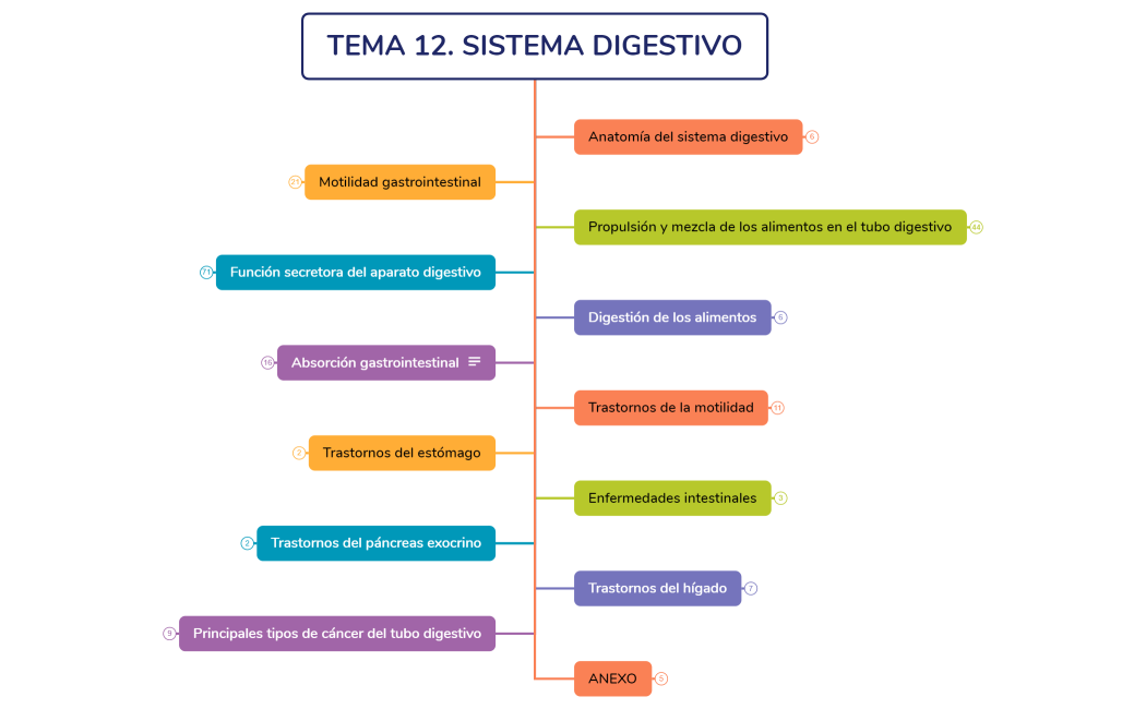 Fisiología y fisiopatología IV
