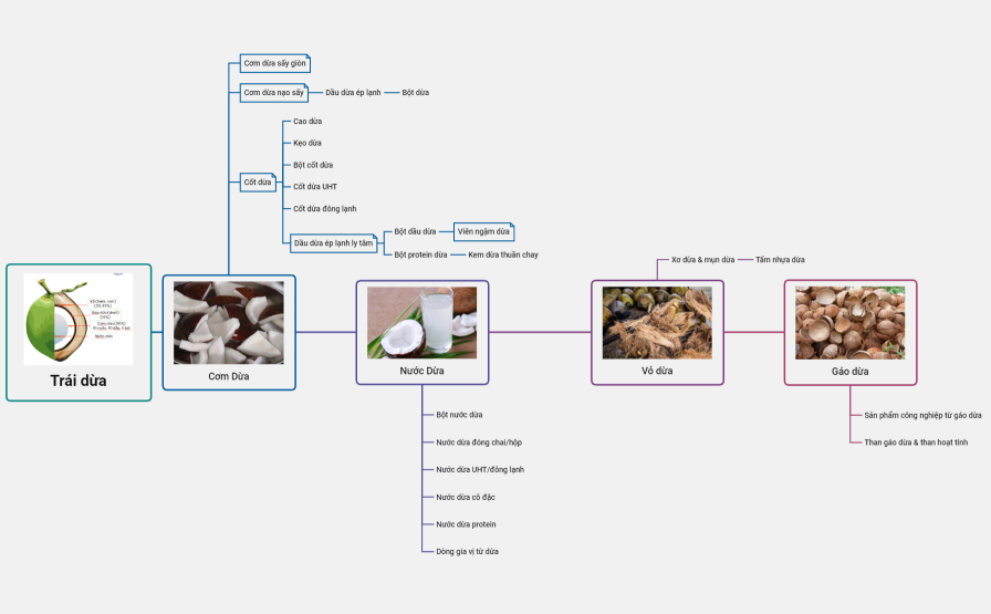 Sản phẩm từ trái dừa