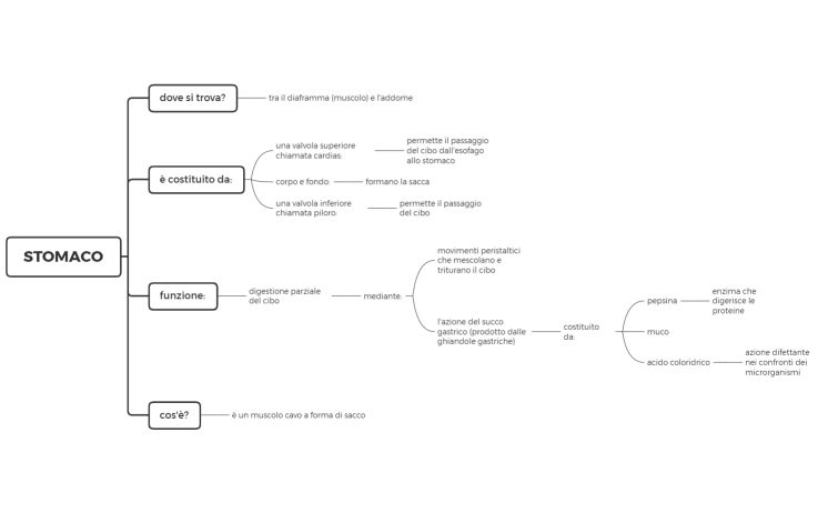 STOMACO, scienze degli alimenti, secondo anno