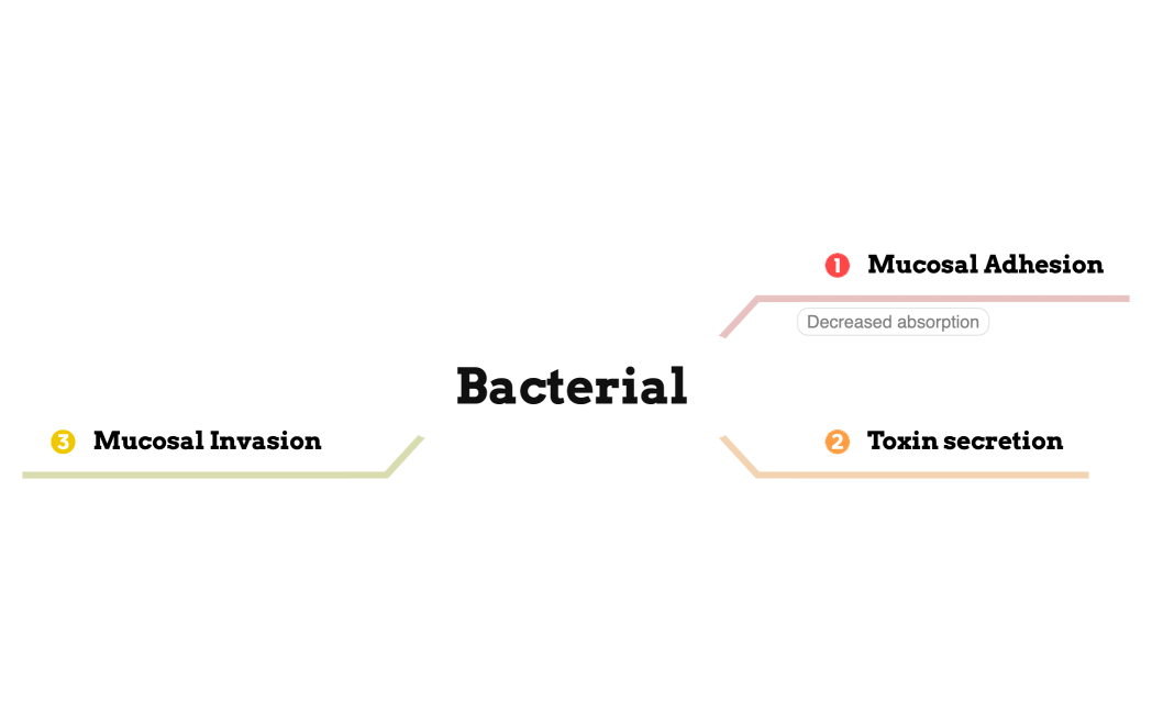 Bacterial