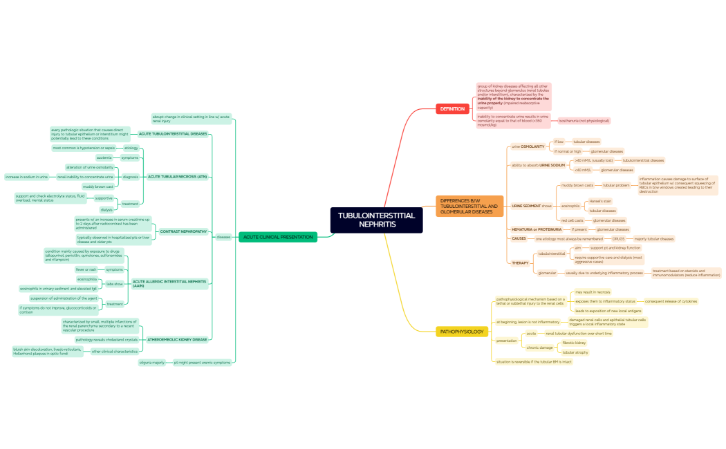 TUBULOINTERSTITIAL NEPHRITIS