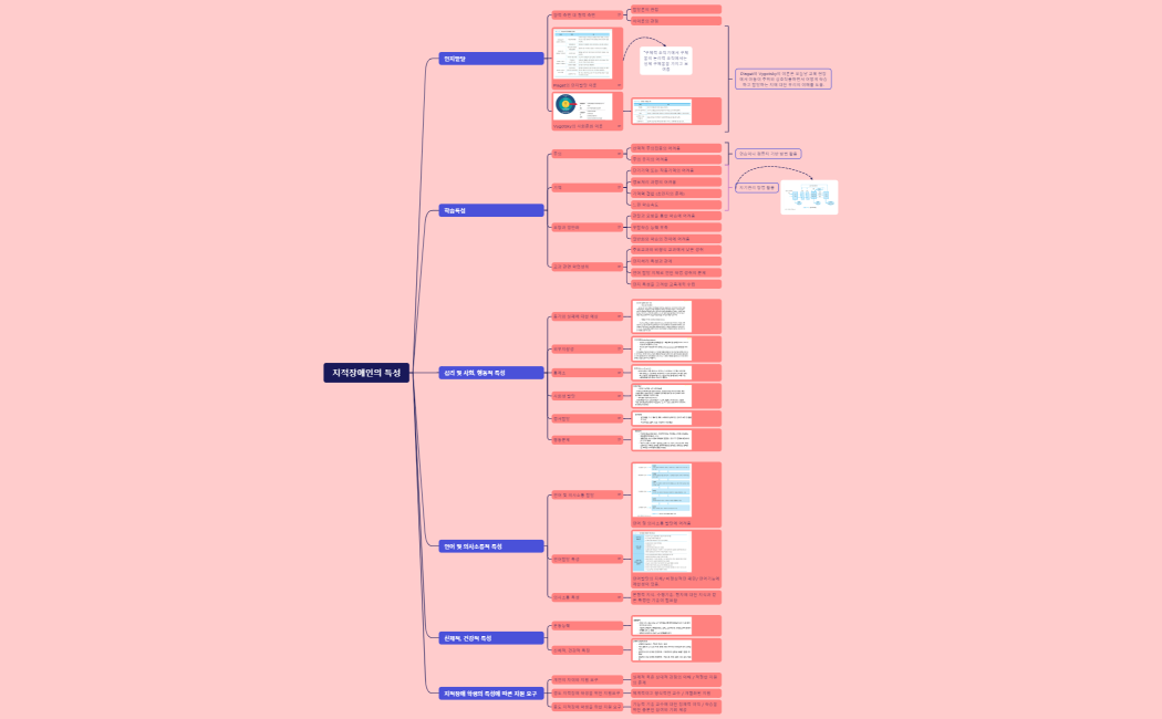 지적장애인의 특성