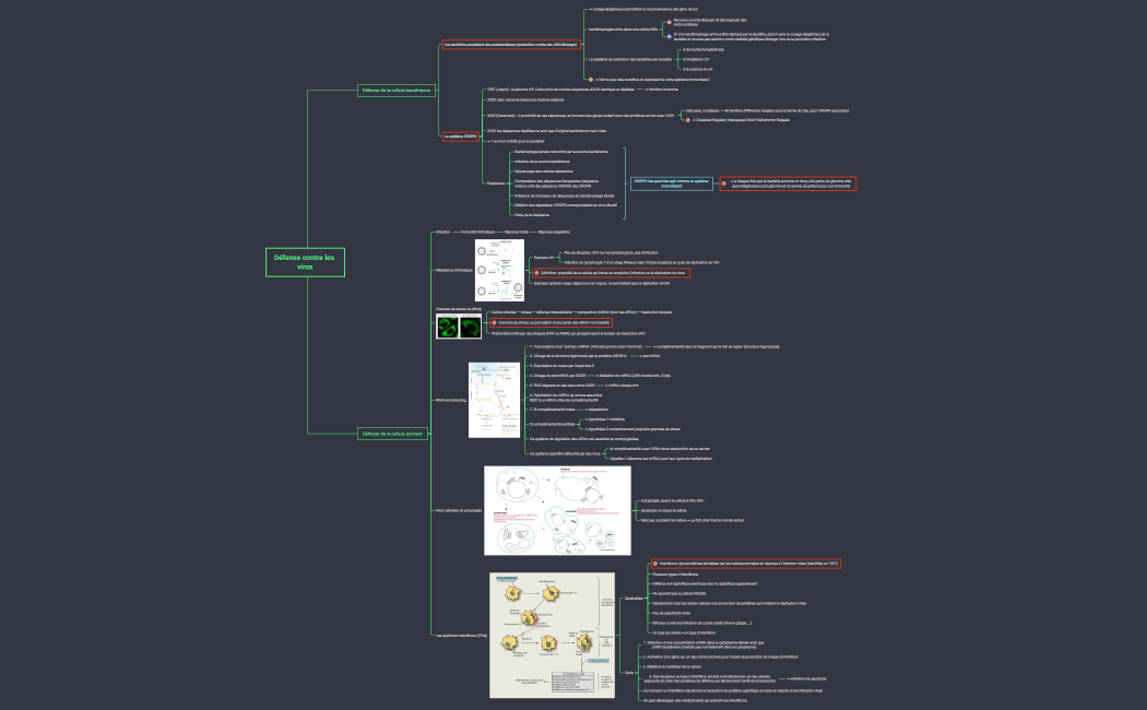 Défense contre les virus