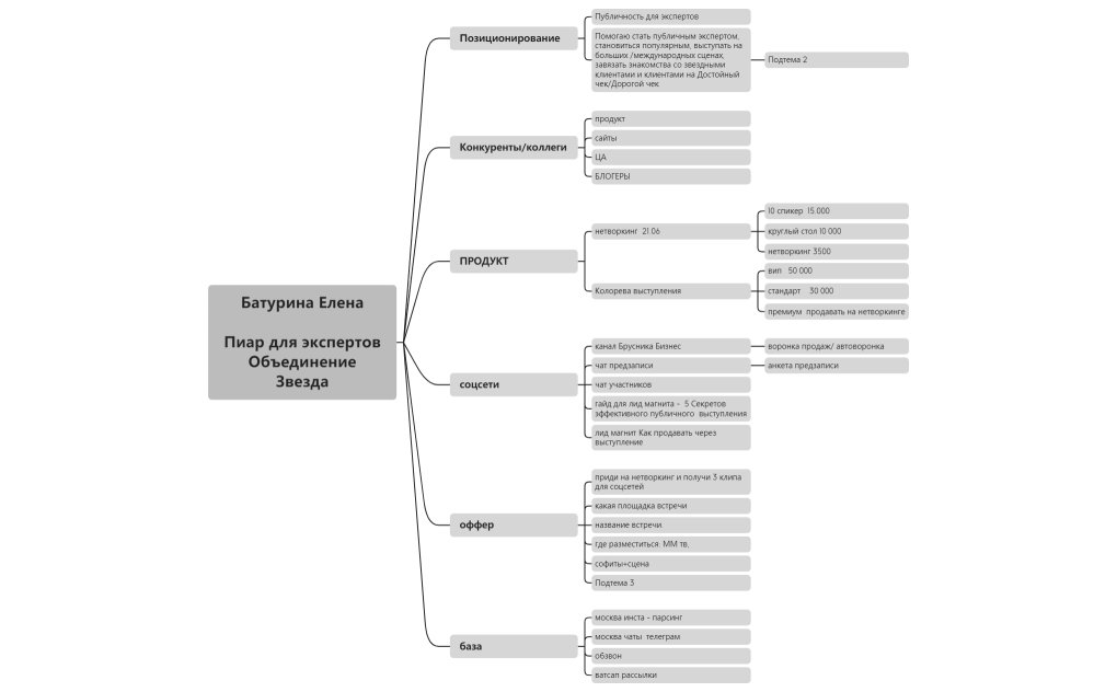 Батурина Елена Пиар.xmind