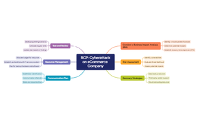 BCP - Ecommerce Company Facing Cyberattack