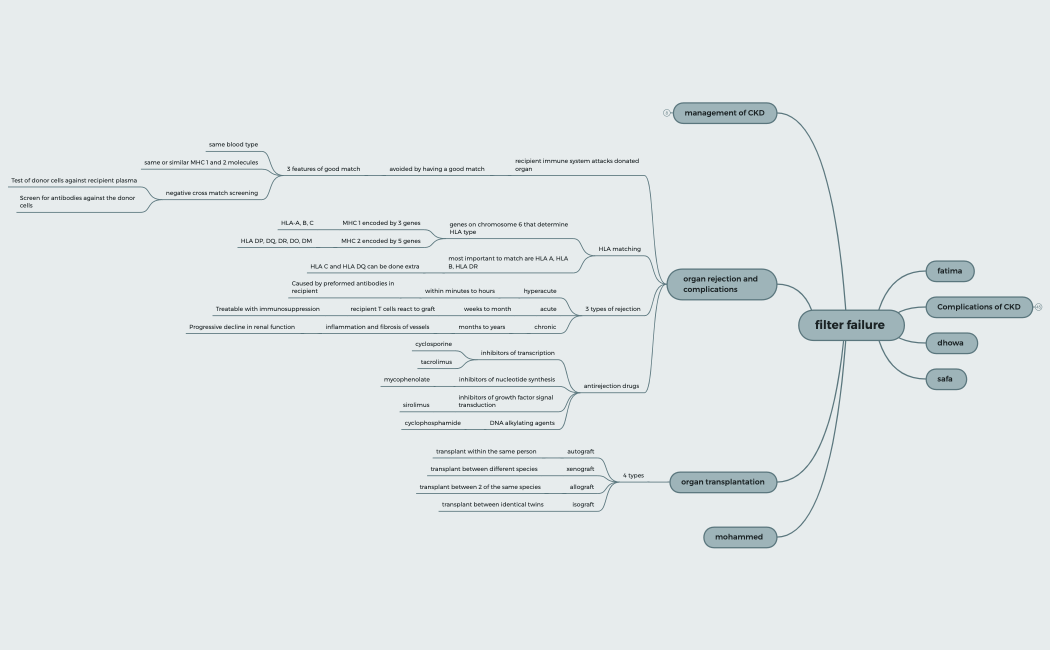 Untitled_1-CwdHkd-4HNKuL0-66596