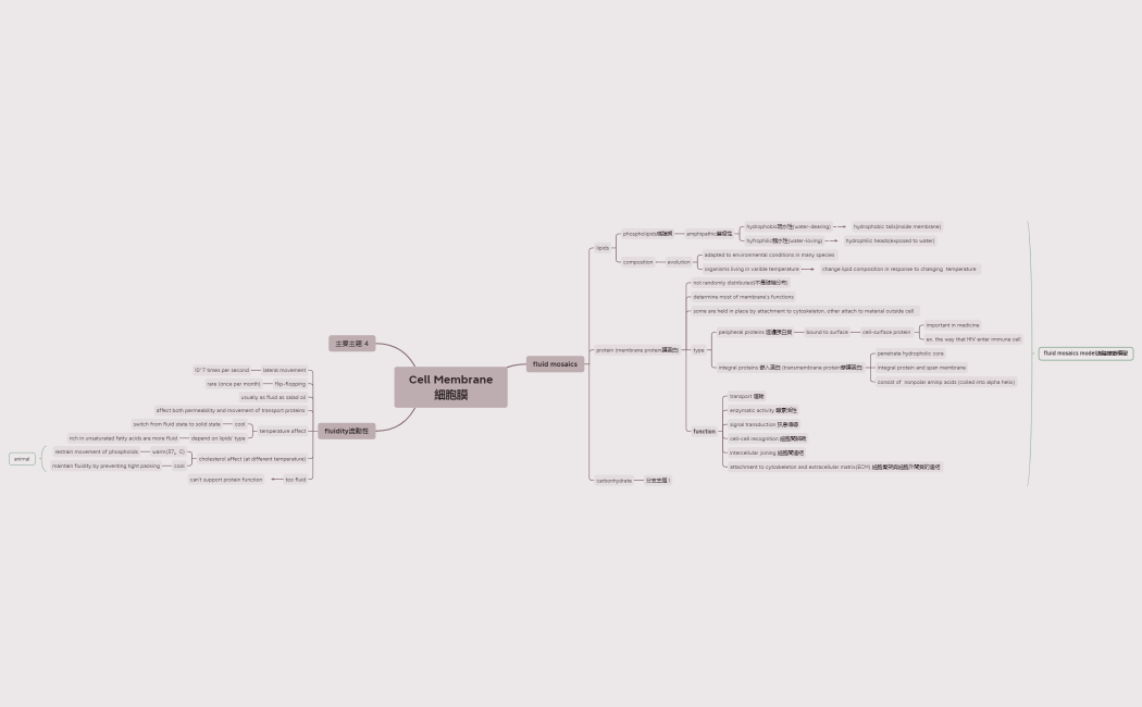 Cell Membrane細胞膜.xmind