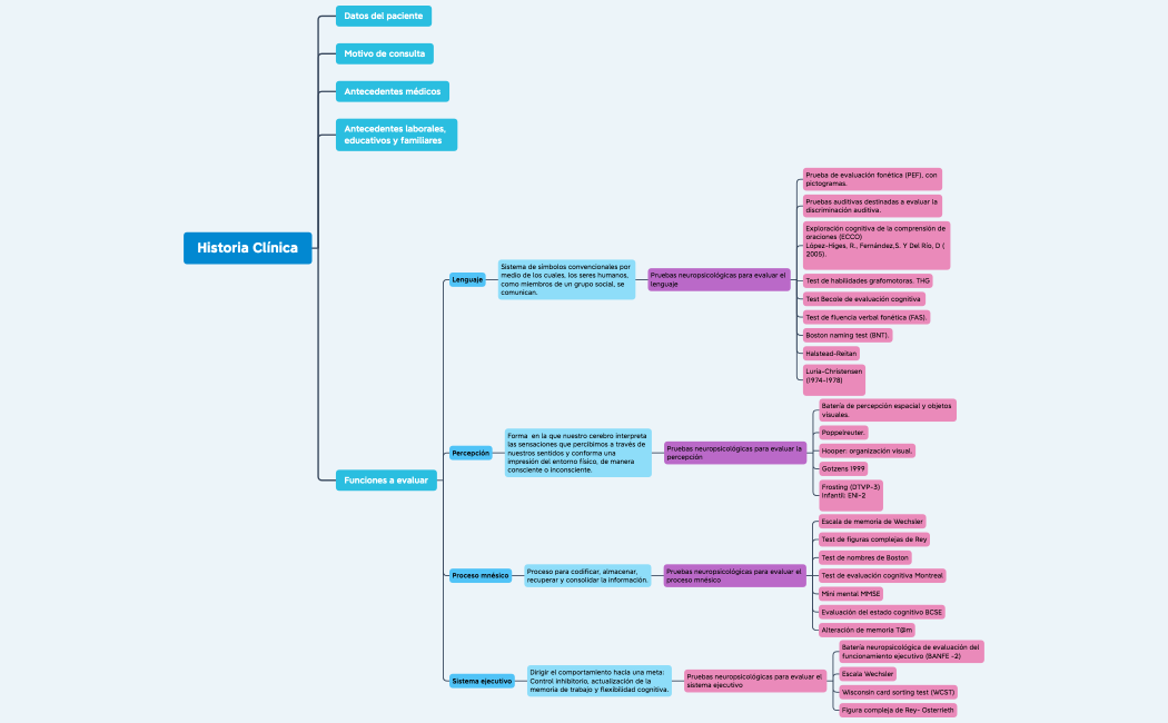 Mapa conceptual-Evaluación NP