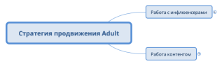 Стратегия продвижения Adult