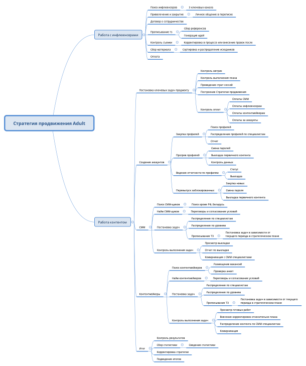 Стратегия продвижения Adult