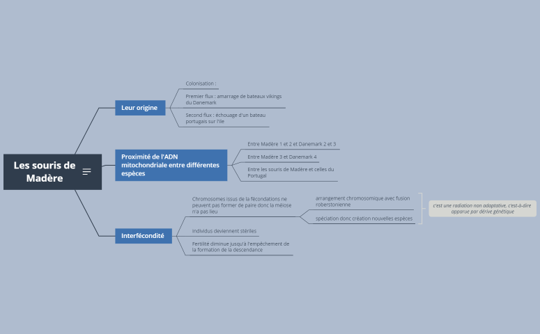 Les souris de Madère 