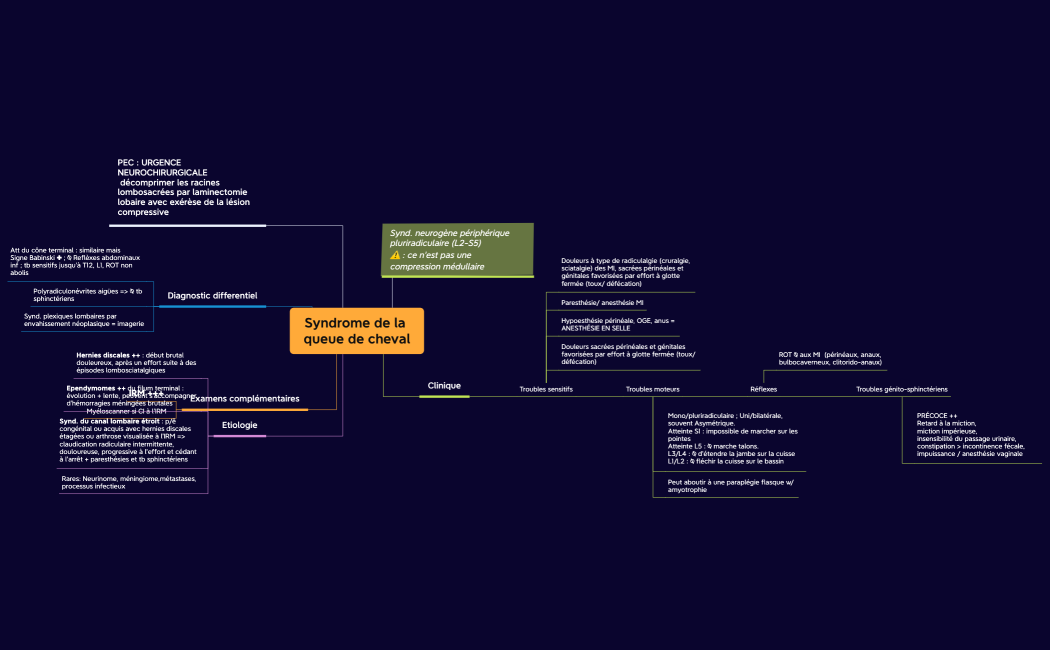 Syndrome de la queue de cheval