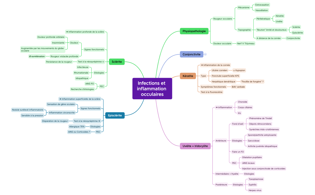 Infections et inflammation occulaires