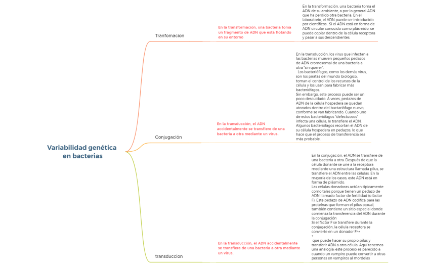 Variabilidad genética en bacterias
